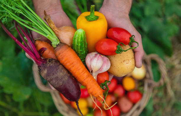 Bien manger local en Eure-et-Loir